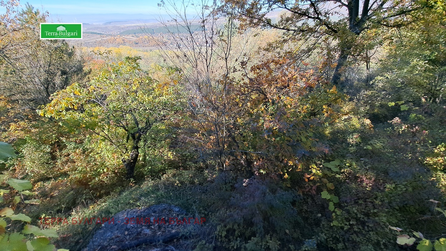 Продава ПАРЦЕЛ | Imot.bg — изображение 13