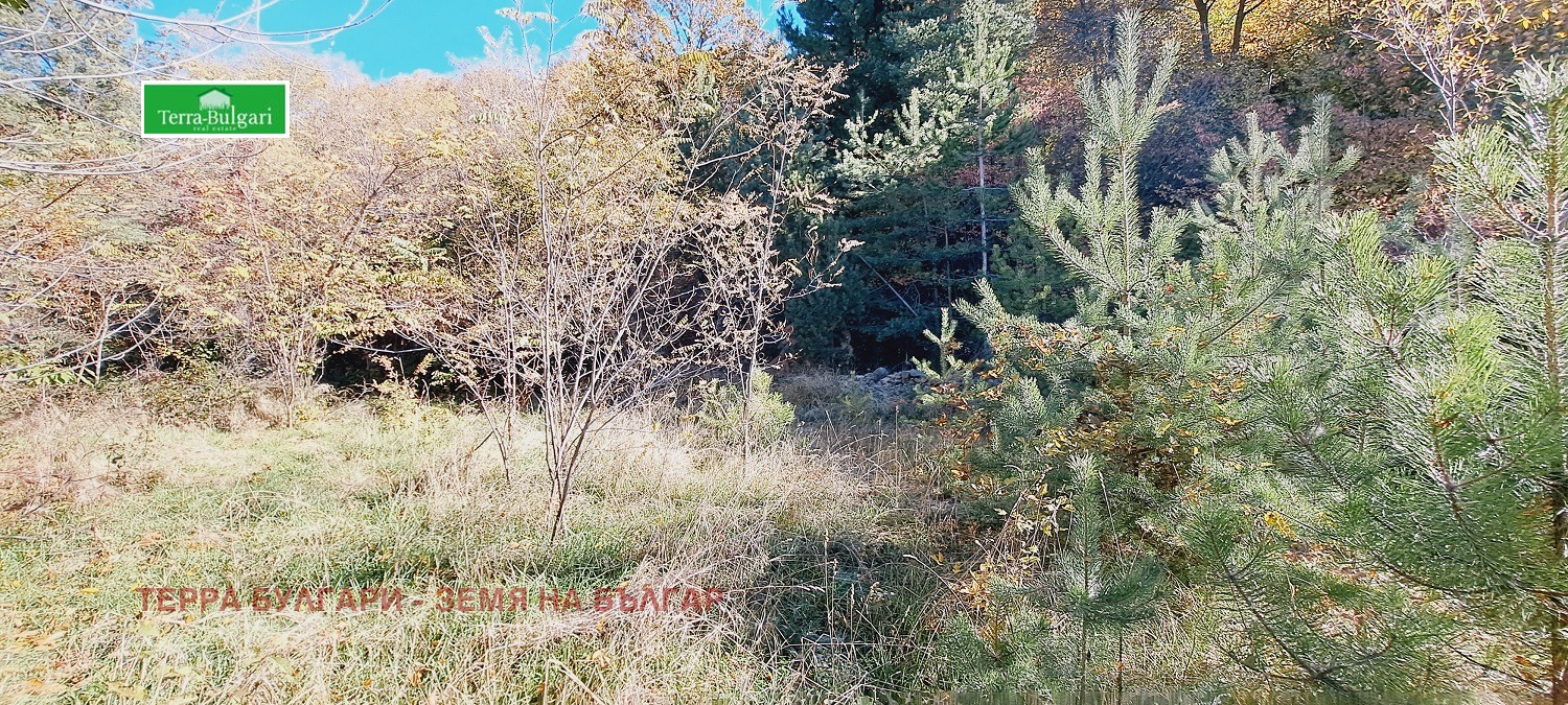 Продава ПАРЦЕЛ | Imot.bg — изображение 3