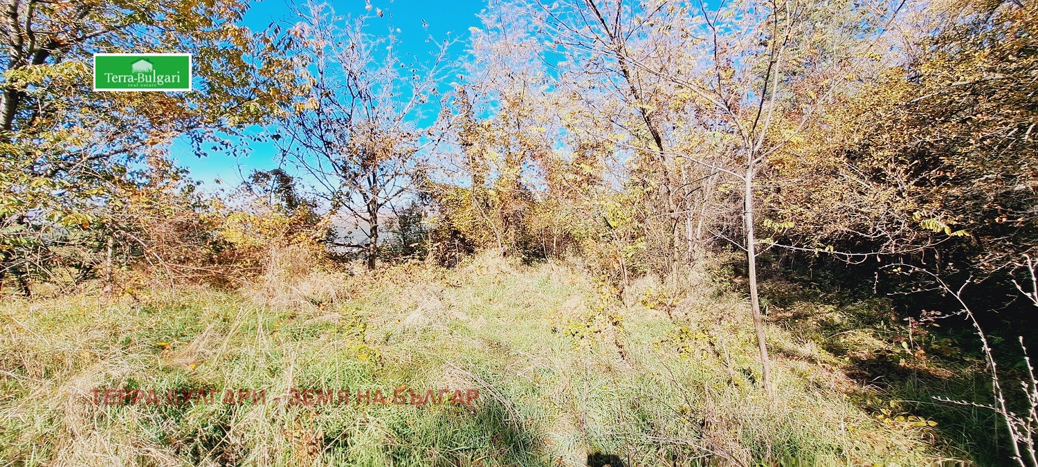 Продава ПАРЦЕЛ | Imot.bg — изображение 7