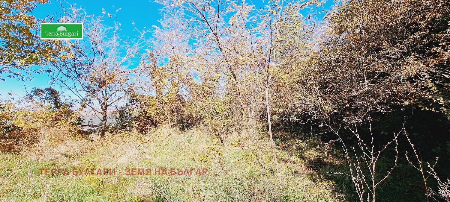 Продава ПАРЦЕЛ | Imot.bg — изображение 6