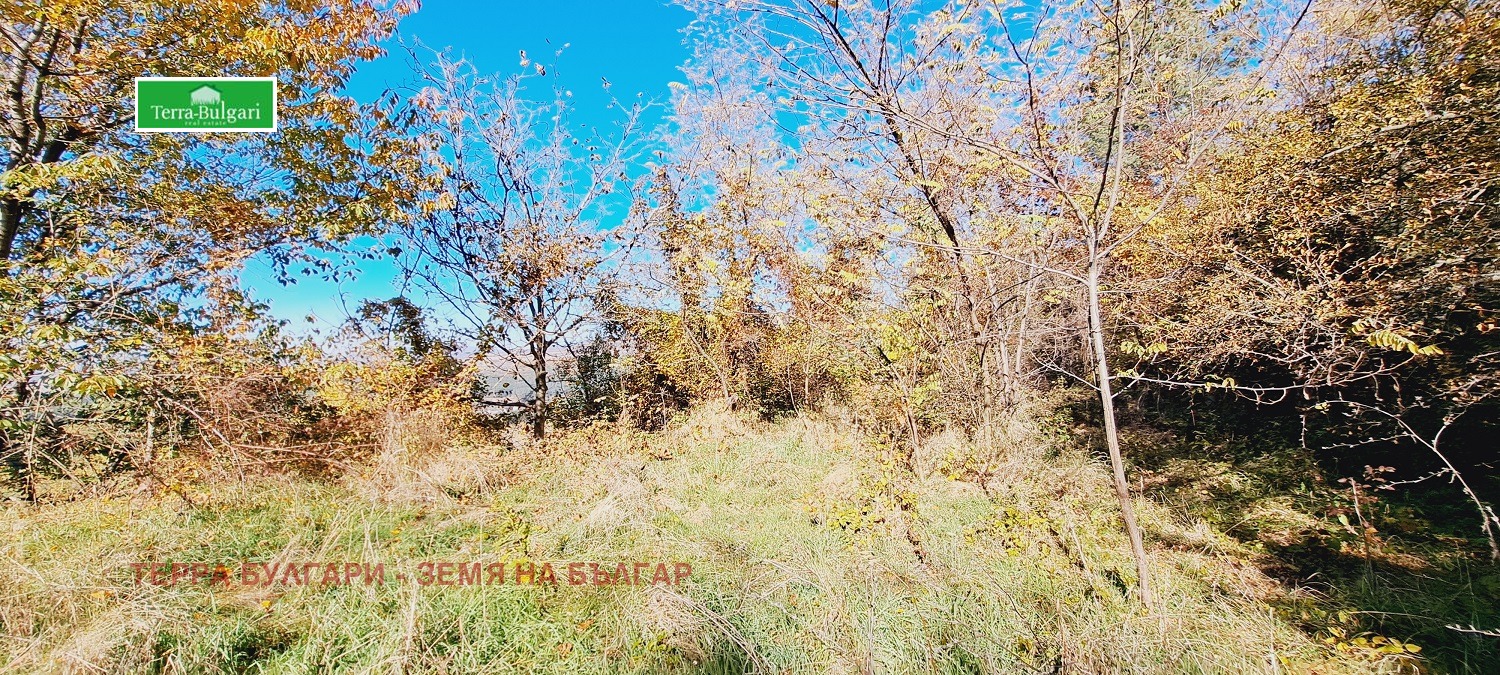 Продава ПАРЦЕЛ | Imot.bg — изображение 8