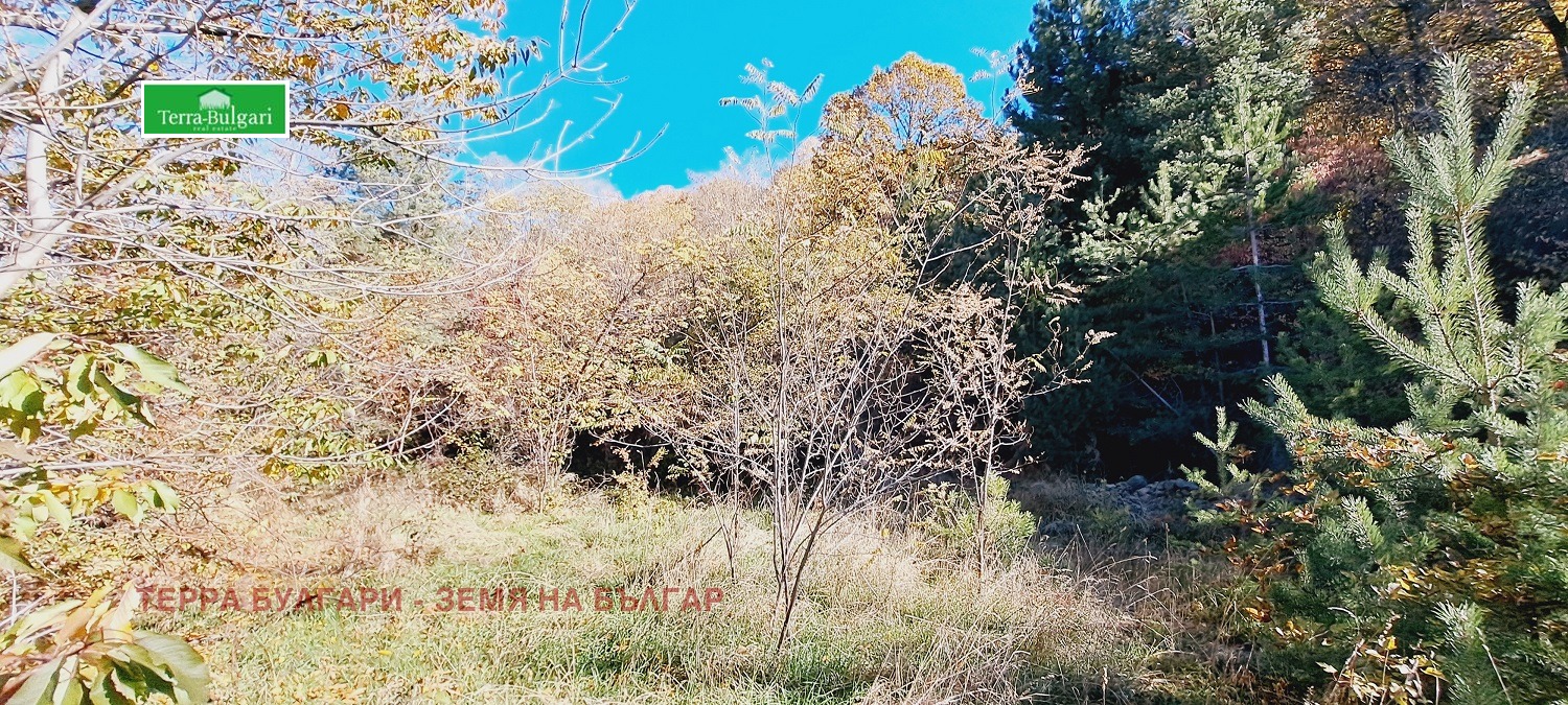 Продава ПАРЦЕЛ | Imot.bg — изображение 4