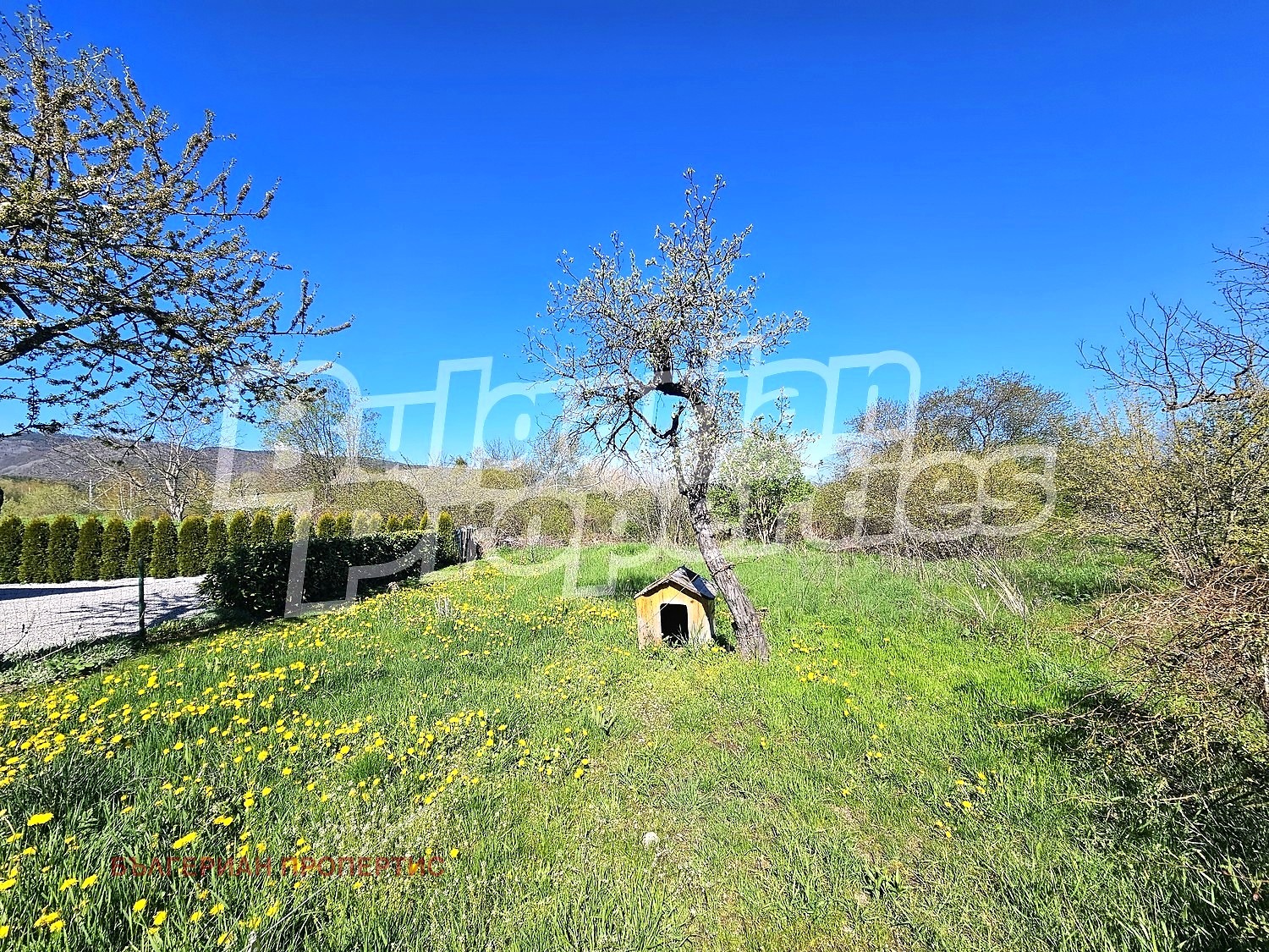 ������� ������ | Imot.bg � ����������� 7