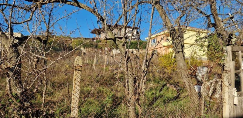 For Sale  Plot Varna , m-t Borovets - yug , 2135 sq.m | 76843928