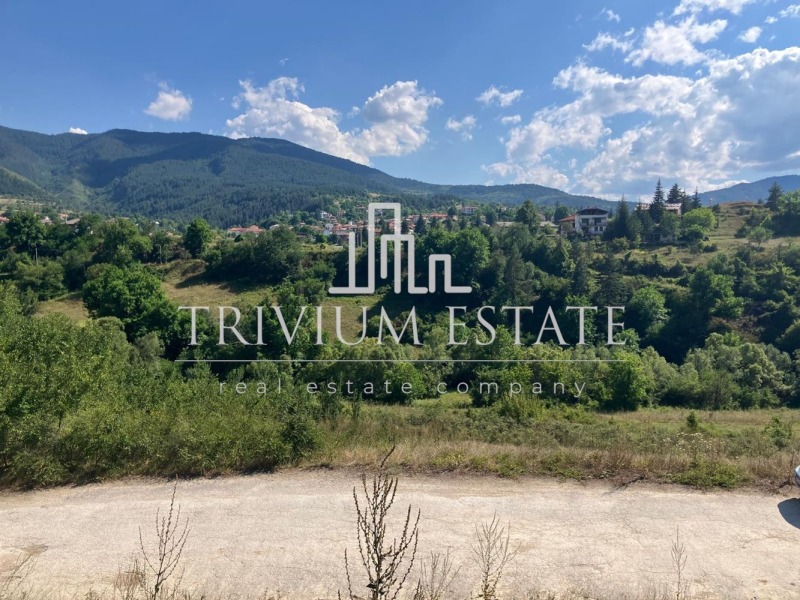Na prodej  Spiknutí oblast Smolyan , Pavelsko , 1489 m2 | 67545381 - obraz [2]