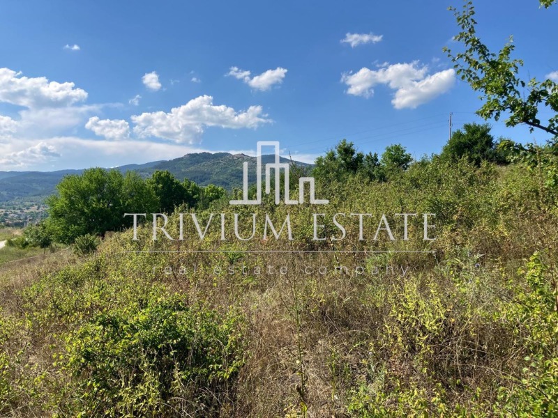 Na prodej  Spiknutí oblast Smolyan , Pavelsko , 1489 m2 | 67545381 - obraz [4]