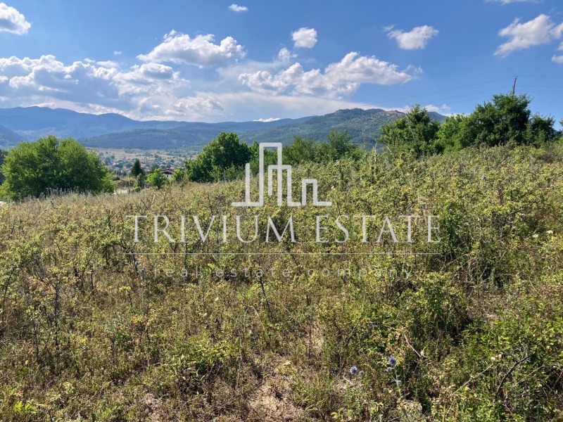 Na prodej  Spiknutí oblast Smolyan , Pavelsko , 1489 m2 | 67545381 - obraz [10]