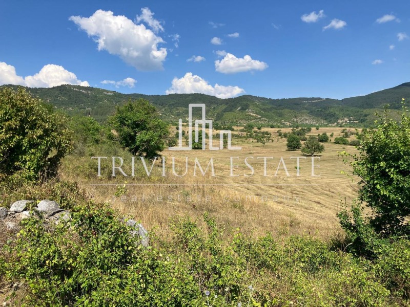 Na prodej  Spiknutí oblast Smolyan , Pavelsko , 1489 m2 | 67545381 - obraz [5]