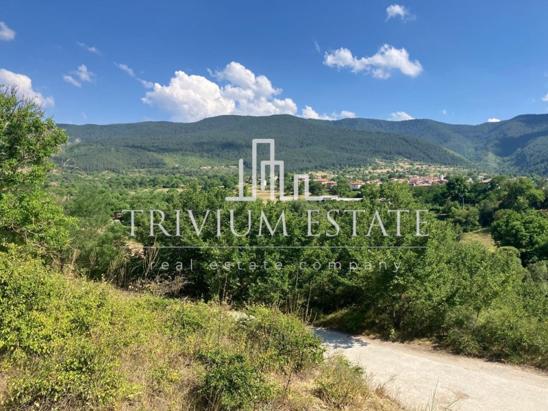 Na prodej  Spiknutí oblast Smolyan , Pavelsko , 1489 m2 | 67545381