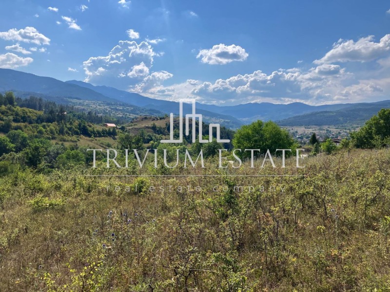 Na prodej  Spiknutí oblast Smolyan , Pavelsko , 1489 m2 | 67545381 - obraz [9]