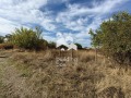 Продава ПАРЦЕЛ, област Пловдив, с. Крушево • 32000 лв. • 69139637 — Holmes.bg