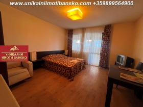 Studie Bansko, region Blagoevgrad 3