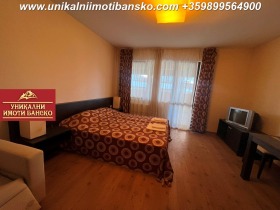 Studie Bansko, region Blagoevgrad 2