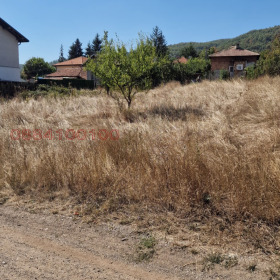 Satılık Komplo