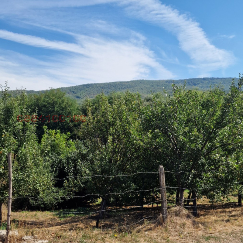 Продава  Парцел област София , с. Мирово , 800 кв.м | 95489460 - изображение [4]