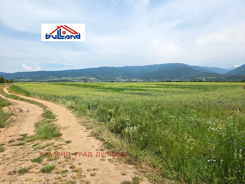 Zu verkaufen  Land region Kjustendil , Saparewa banja , 1.7 dka | 98055012 - Bild [3]