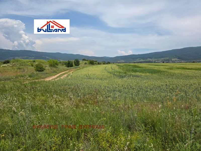 Zu verkaufen  Land region Kjustendil , Saparewa banja , 1.7 dka | 98055012 - Bild [6]
