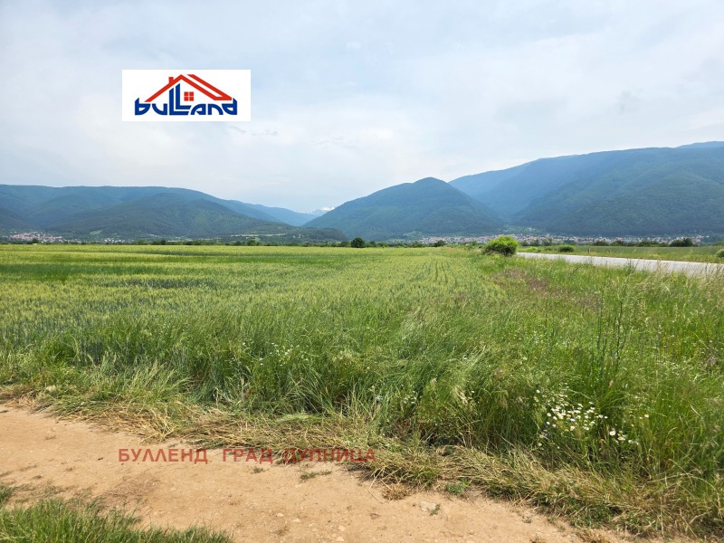 Zu verkaufen  Land region Kjustendil , Saparewa banja , 1.7 dka | 98055012 - Bild [4]