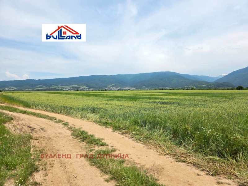 Zu verkaufen  Land region Kjustendil , Saparewa banja , 1.7 dka | 98055012 - Bild [5]