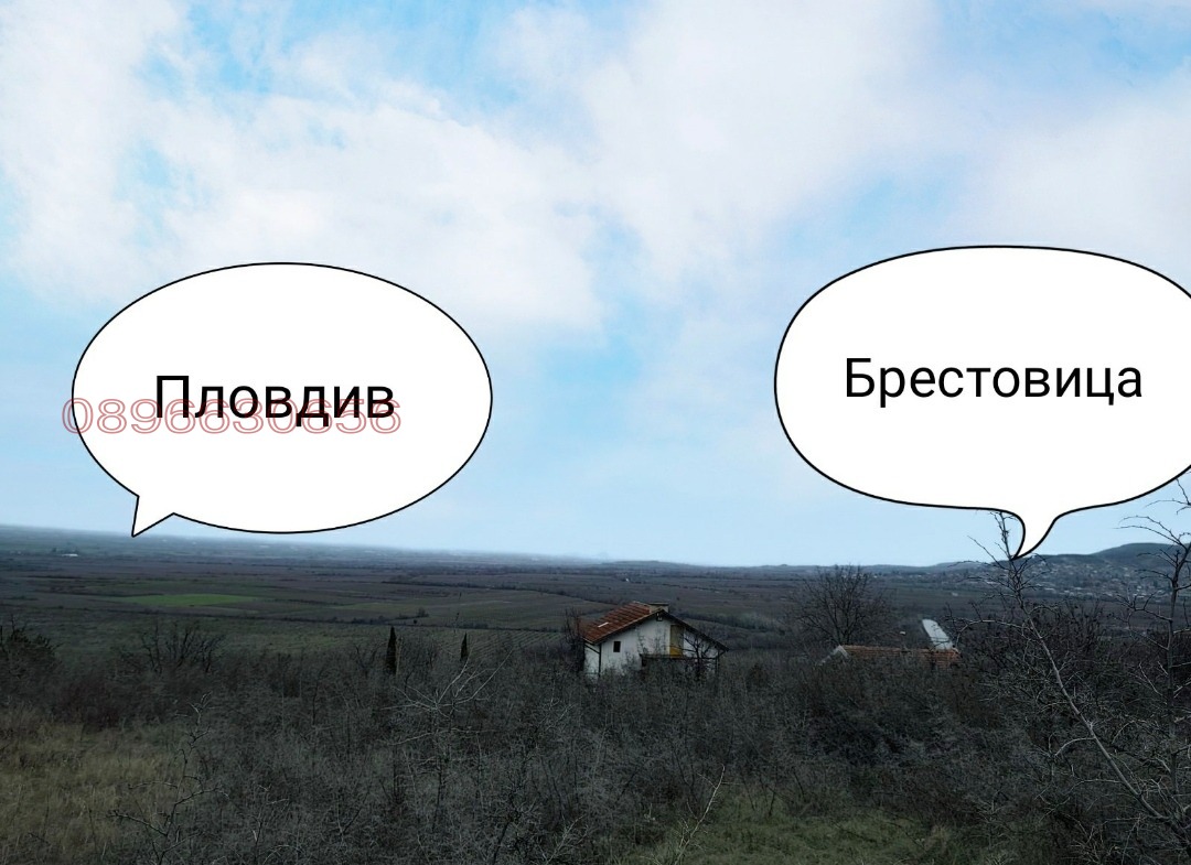 ������� ������ | Imot.bg � ����������� 7