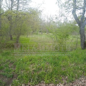 Продажба на имоти в с. Ясна поляна, област Бургас - изображение 5 