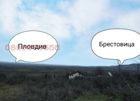 ������� ������ | Imot.bg � ����� ������ 7