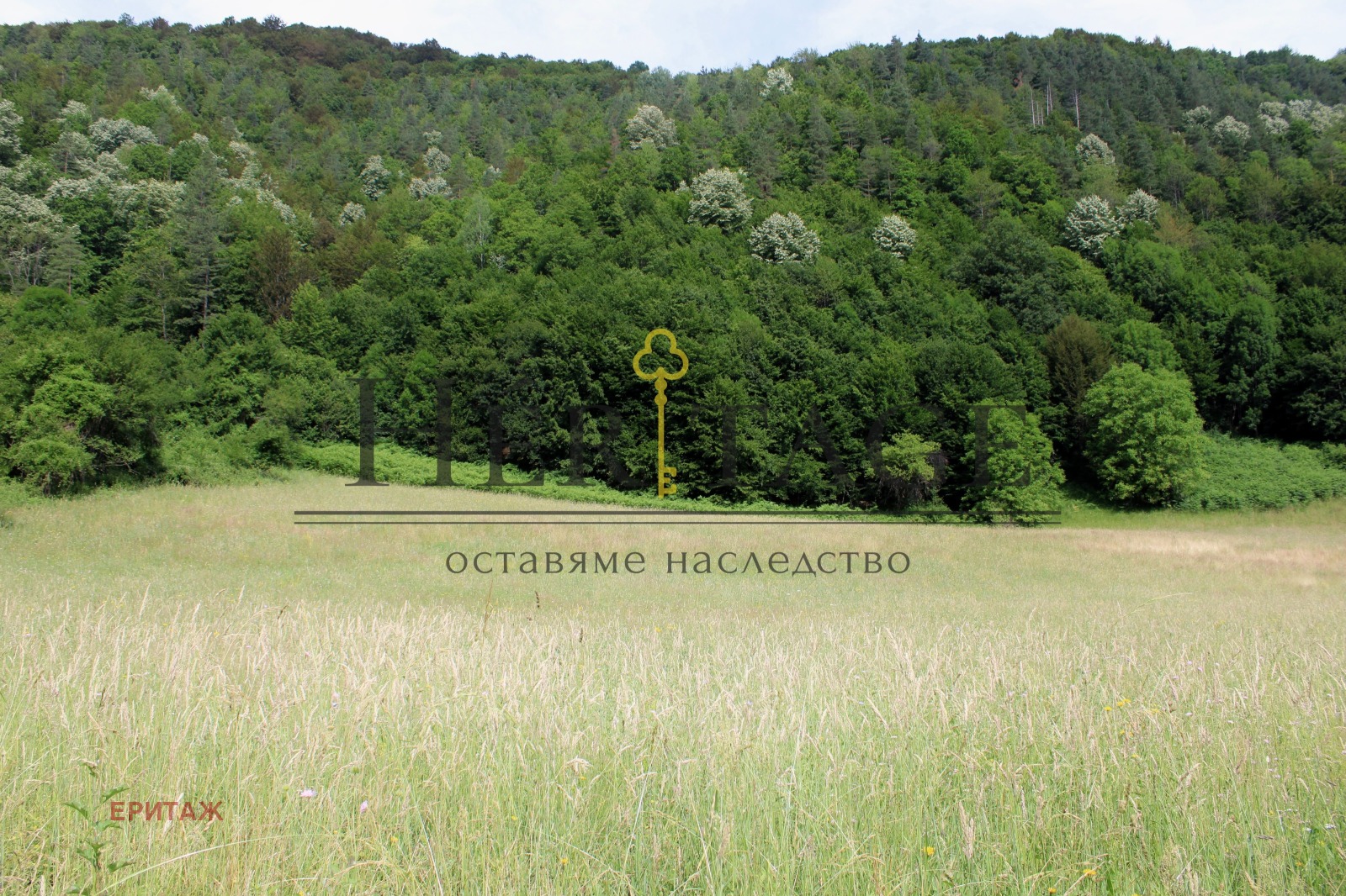 ������� ������ | Imot.bg � ����������� 5