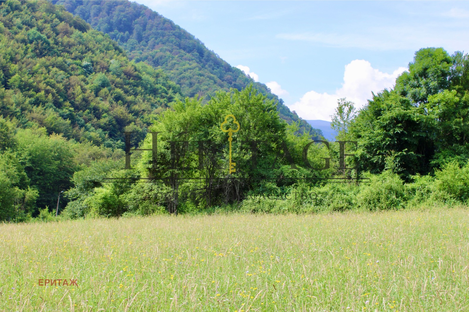 Продава ПАРЦЕЛ, с. Рибарица, област Ловеч, снимка 4 - Парцели - 55935990