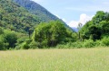 Продава ПАРЦЕЛ, с. Рибарица, област Ловеч, снимка 4
