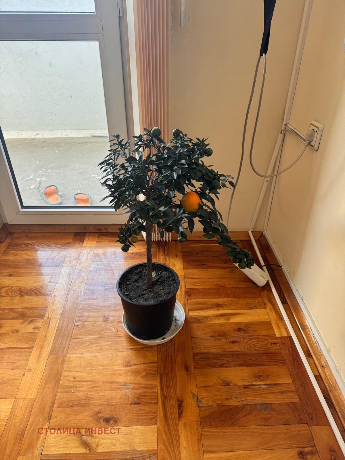 ������� 3-����� | Imot.bg � ����������� 10