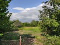 Продава ПАРЦЕЛ, с. Попгригорово, област Добрич, снимка 2