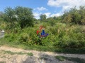 Продава ПАРЦЕЛ, с. Янково, област Шумен, снимка 1