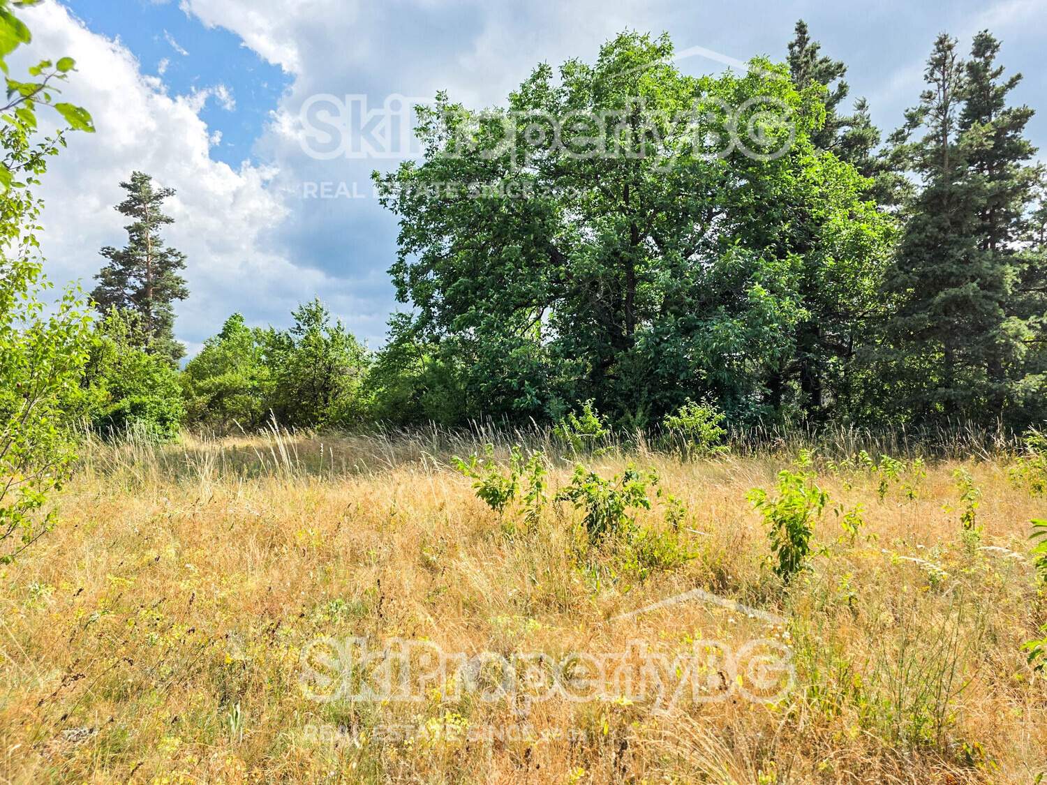 Продава ПАРЦЕЛ | Imot.bg — изображение 7