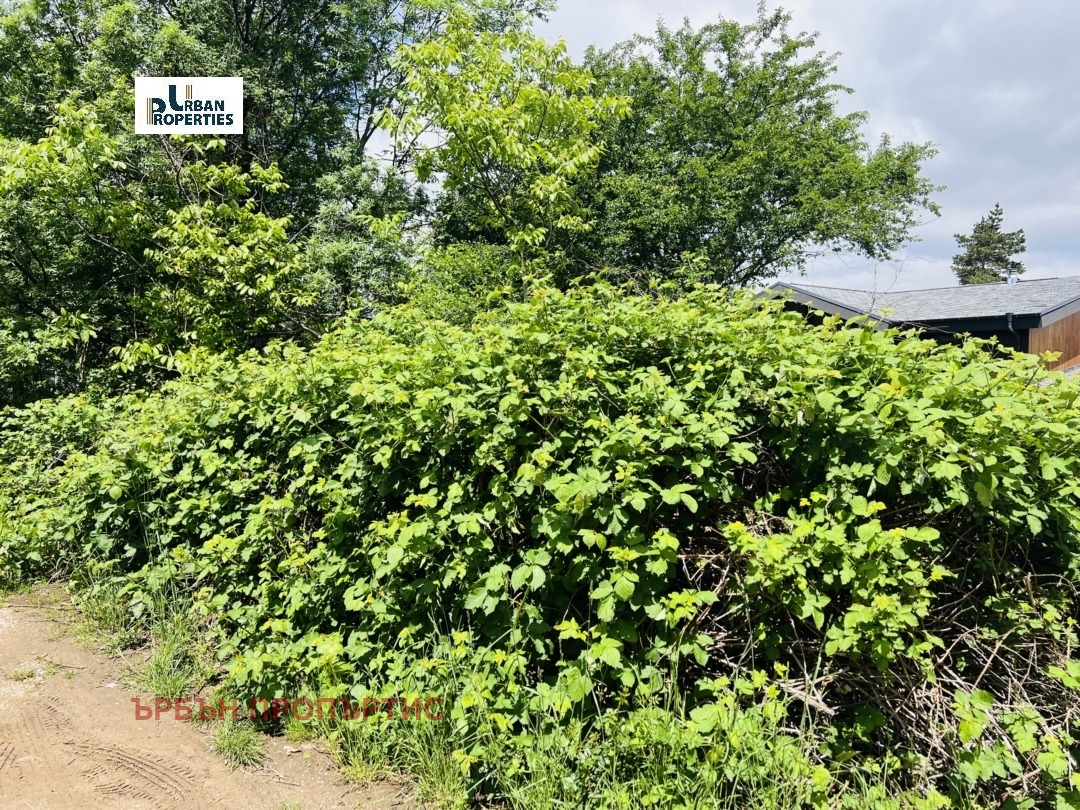 ������� ������ | Imot.bg � ����������� 5