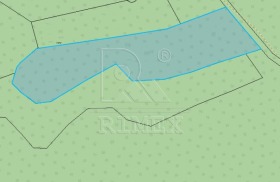 ����� ������� ���������� ����,�. �����, ������ �������