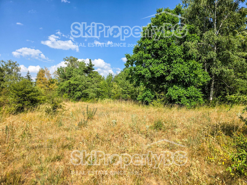Продава  Парцел област София , гр. Самоков , 16500 кв.м | 62441161 - изображение [4]