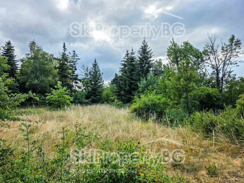 Продава  Парцел област София , гр. Самоков , 16500 кв.м | 62441161 - изображение [8]