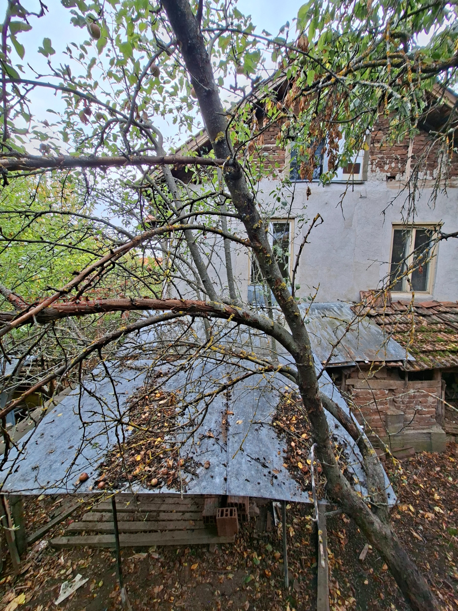 Продава КЪЩА, с. Раждавица, област Кюстендил, снимка 12 - Къщи - 56559380