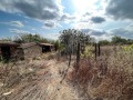 Продава КЪЩА, с. Крупен, област Добрич, снимка 4