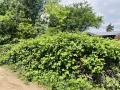 Продава ПАРЦЕЛ, гр. София, Драгалевци, снимка 5