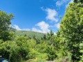 Продава ПАРЦЕЛ, гр. София, Драгалевци, снимка 7