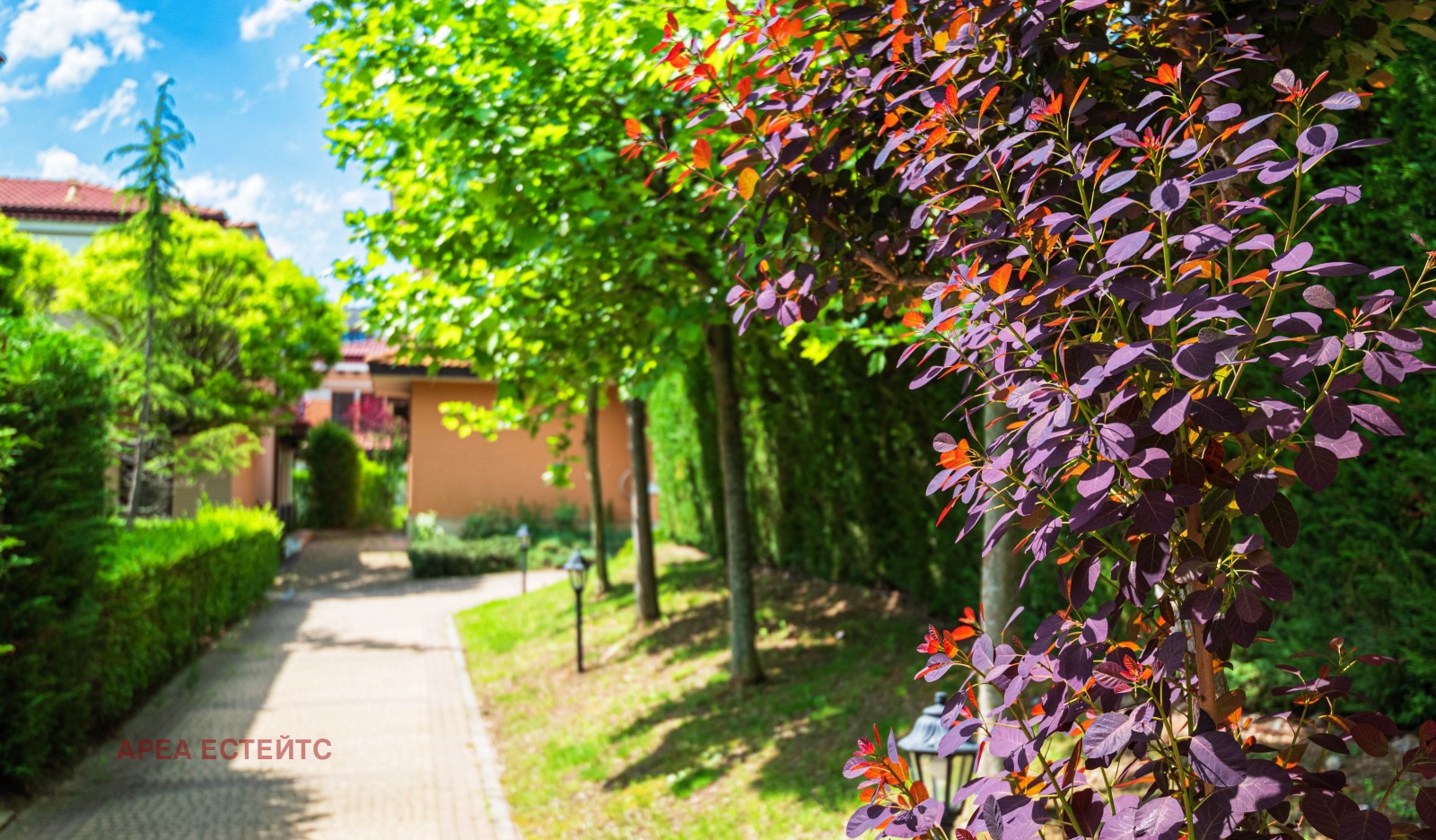 ������� ���� | Imot.bg � ����������� 4
