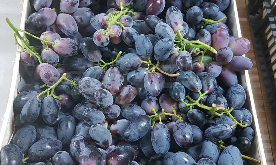 Продава ПАРЦЕЛ | Imot.bg — изображение 8