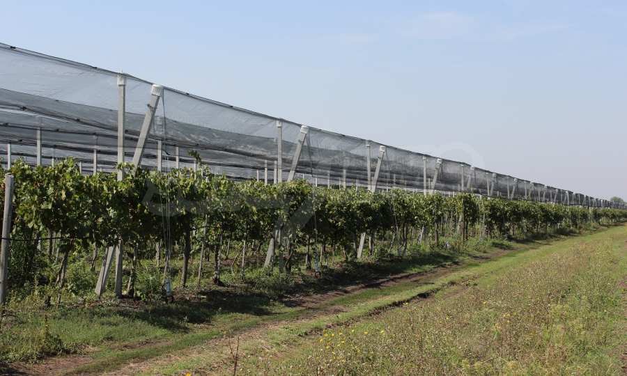 Продава ПАРЦЕЛ | Imot.bg — изображение 2