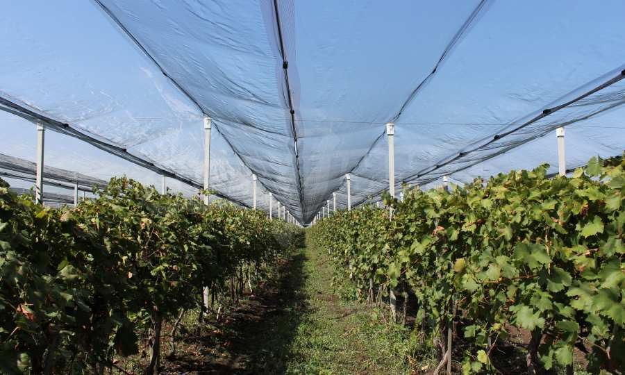 Продава ПАРЦЕЛ | Imot.bg — изображение 1