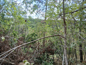 ������� ������ | Imot.bg � ����� ������ 9