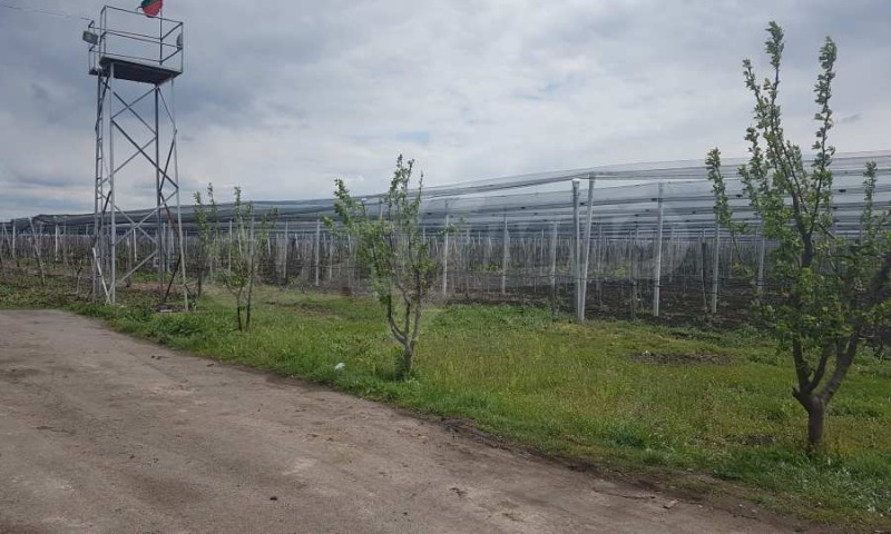 Te koop  Verhaallijn regio Stara Zagora , Sredno gradishte , 399000 m² | 90467824 - afbeelding [6]