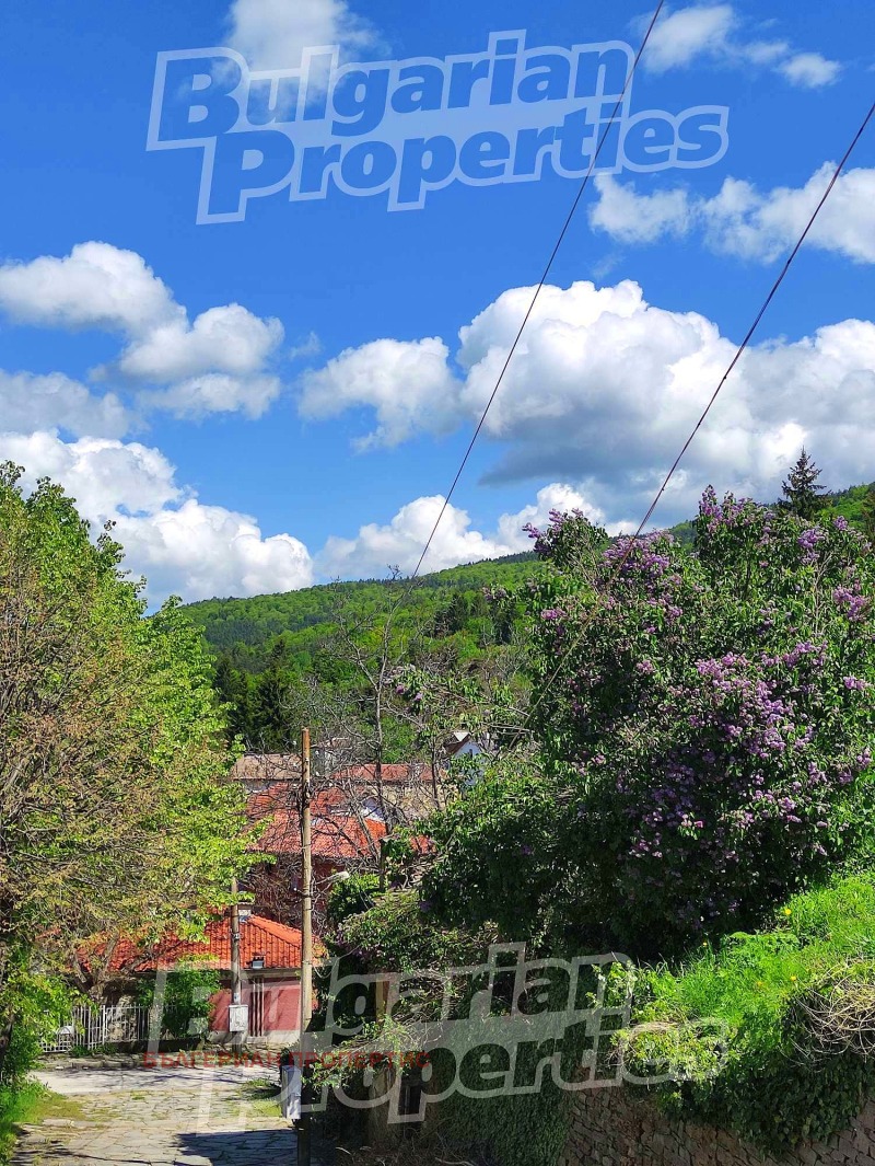 À venda  Trama região Plovdiv , Boikovo , 282 m² | 96577664 - imagem [7]
