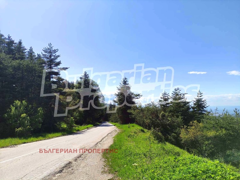 À venda  Trama região Plovdiv , Boikovo , 282 m² | 96577664 - imagem [13]