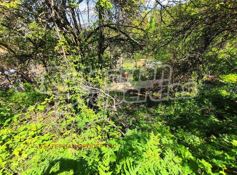 À venda  Trama região Plovdiv , Boikovo , 282 m² | 96577664 - imagem [14]